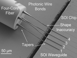 Photonic Wire Bonds